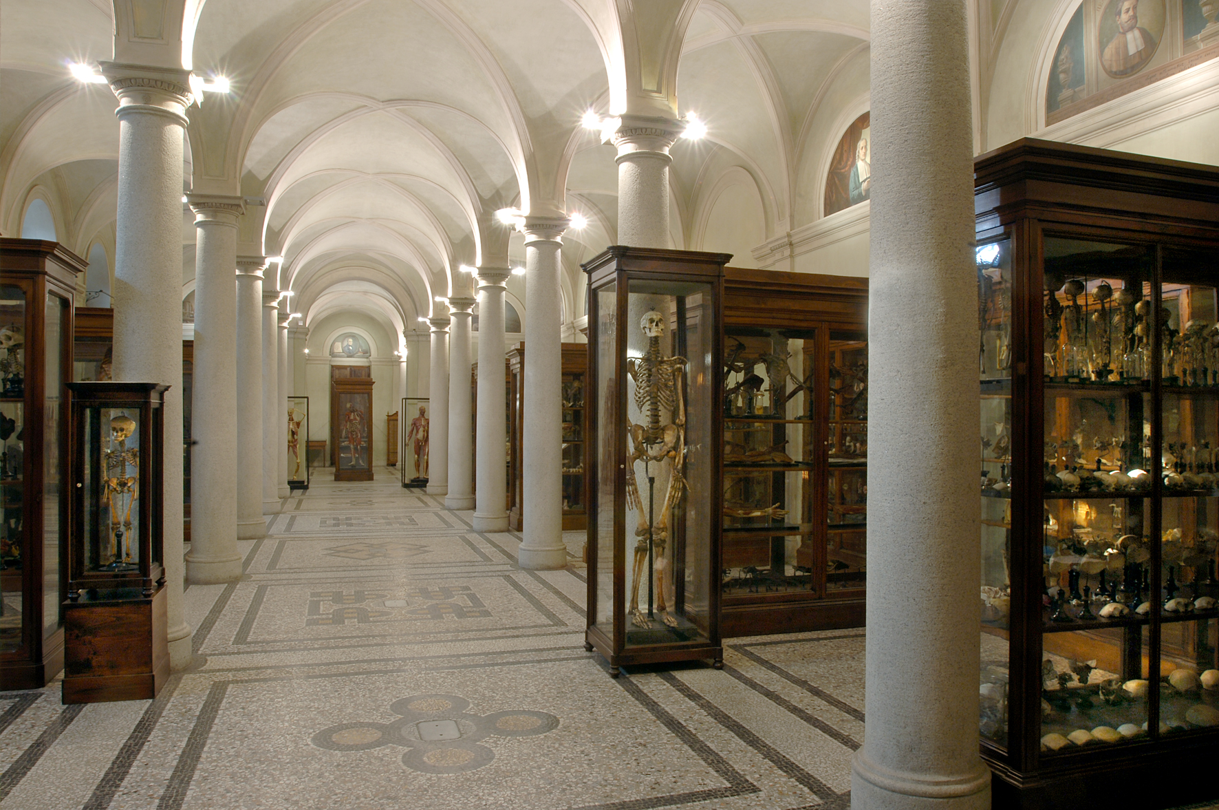 Sabato 26 settembre: ingresso gratuito al Museo di Anatomia